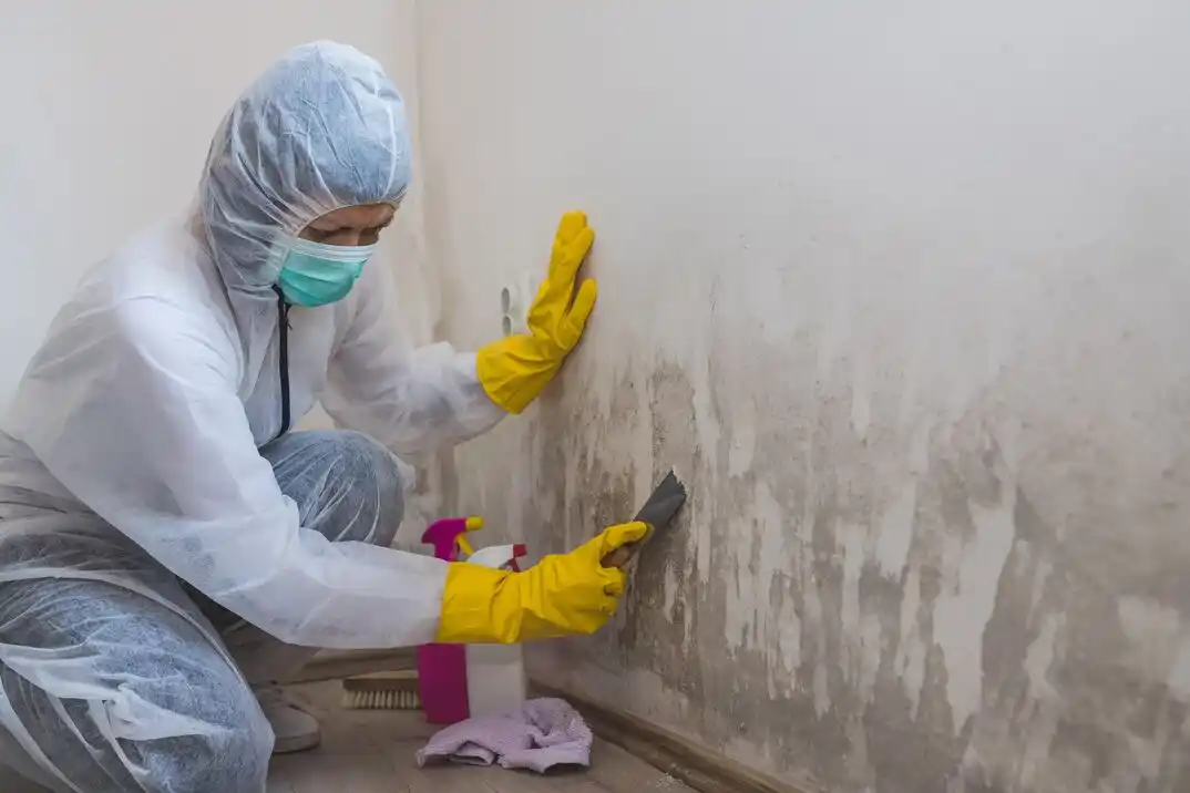 water damage restoration service Fisk Addition